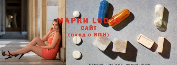 ПСИЛОЦИБИНОВЫЕ ГРИБЫ Алзамай