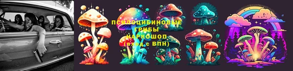ПСИЛОЦИБИНОВЫЕ ГРИБЫ Алзамай