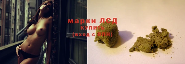 гашик Алексеевка