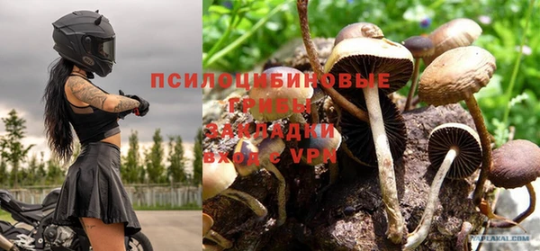 ПСИЛОЦИБИНОВЫЕ ГРИБЫ Алзамай