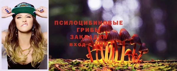 гашик Алексеевка