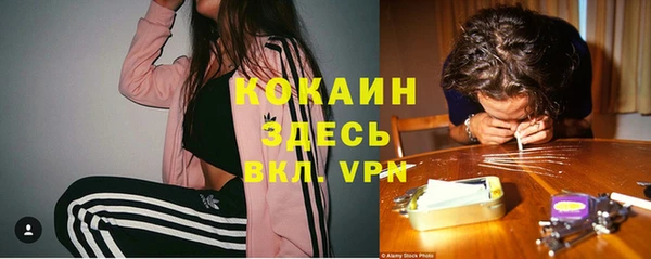 гашик Алексеевка