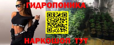 прущие крисы Малгобек