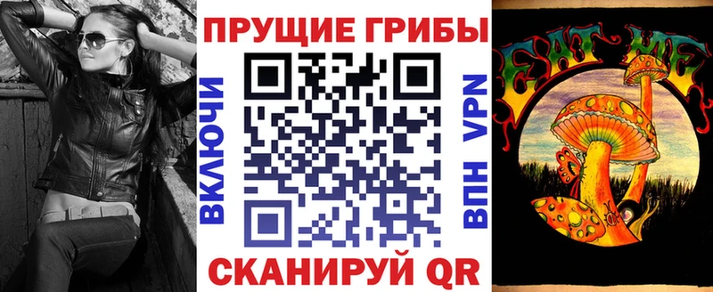 даркнет телеграм Димитровград Псилоцибиновые грибы ЛСД MEGA ссылка