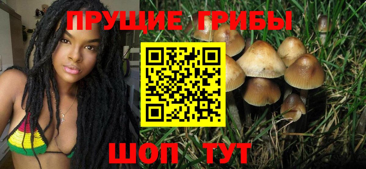 Псилоцибиновые грибы Psilocybine cubensis  Галлюциногенные грибы ЛСД  Димитровград  купить наркотик  Вход с VPN 